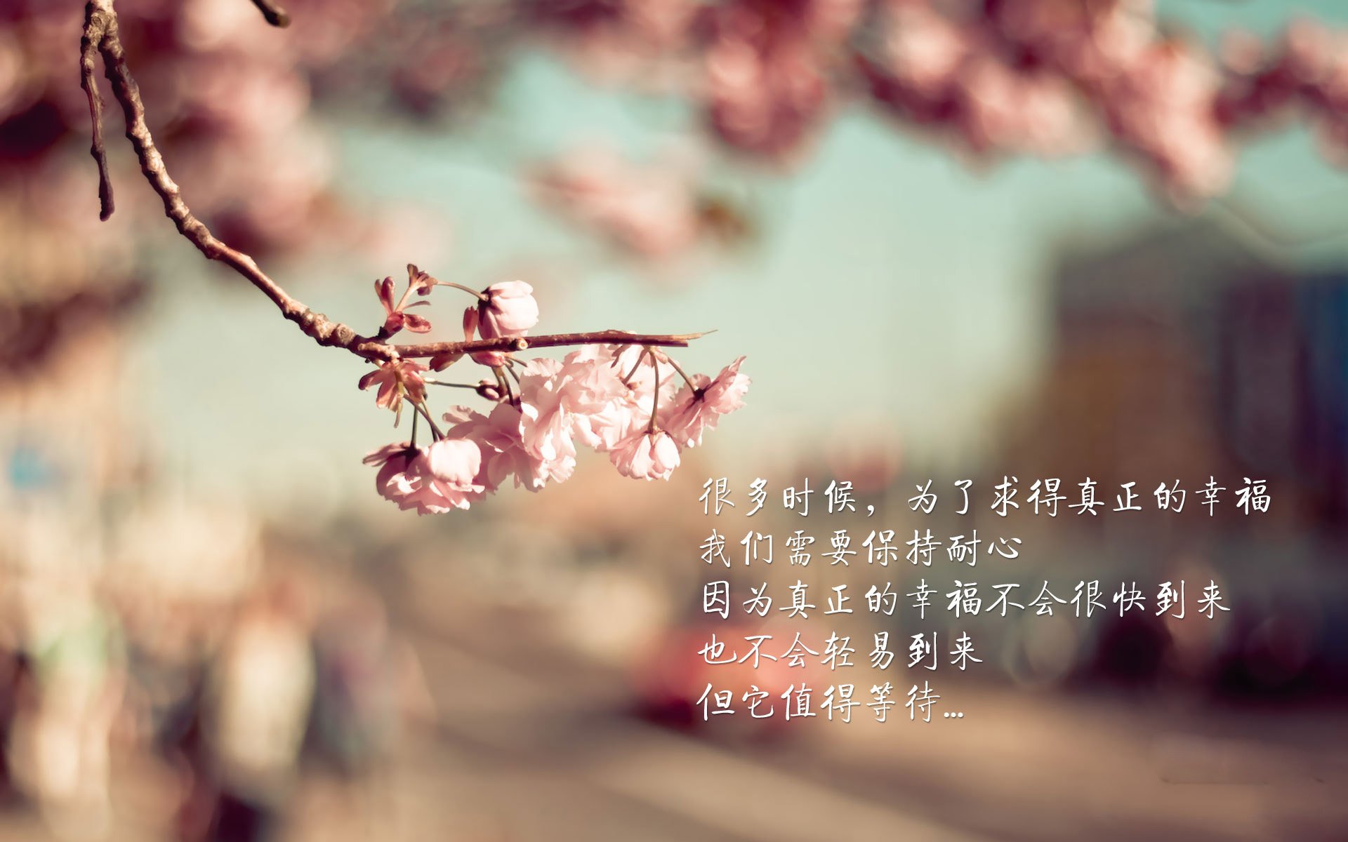 《2025英雄联盟季后赛，EDG逆袭战胜G2夺冠》，lol季后赛edg