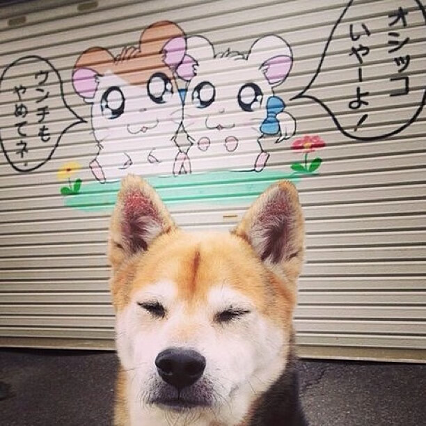 全北现代连续三轮保持不败，全北现代打法