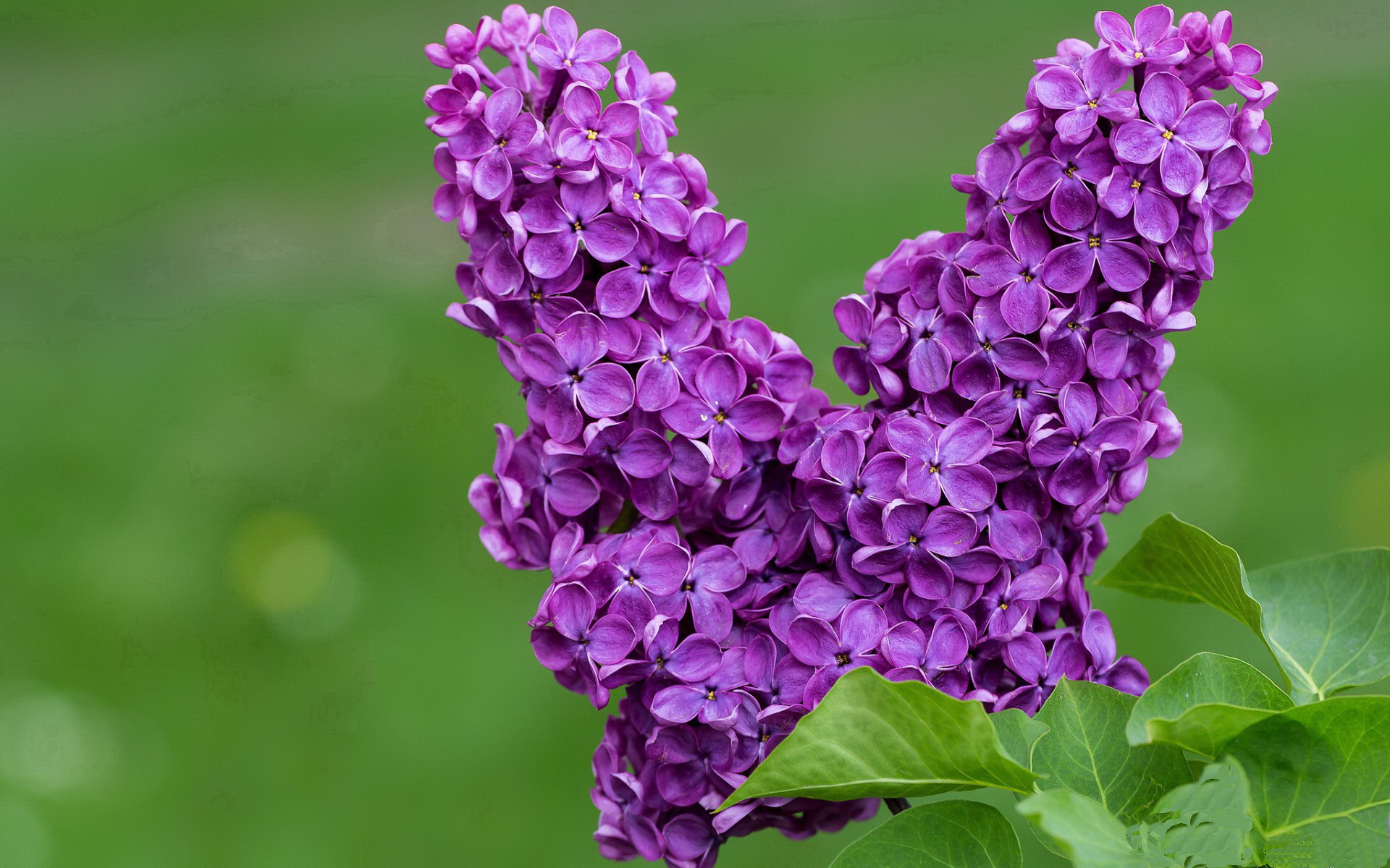 校园体育文化对学生团队合作能力的影响,对校园体育文化的畅想