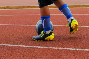 开云官方-足球产业链：从青训到转播的全产业生态，足球产业主要经营内容