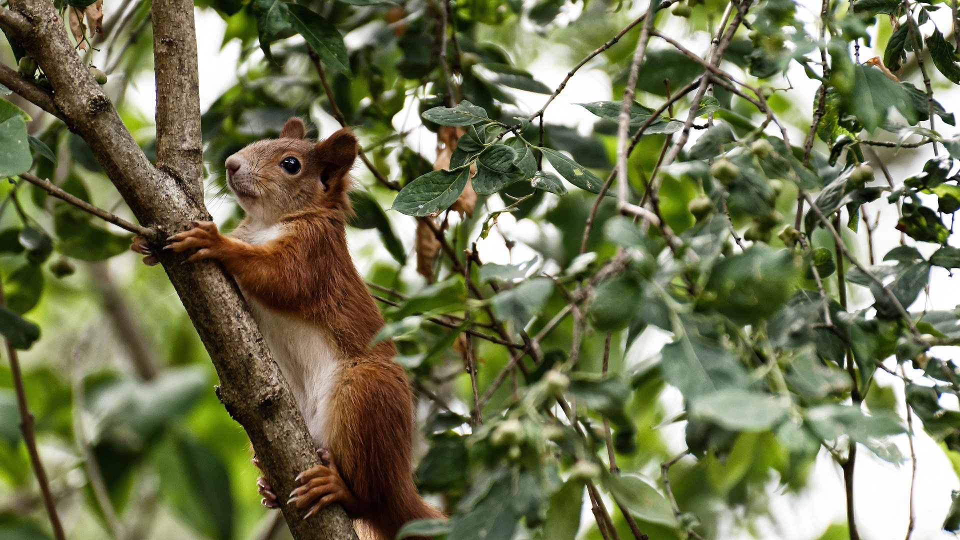 kaiyun体育综合-Timgad 举办 3×3 球赛+植树活动，助推社会融合与环保意识，植树节赛