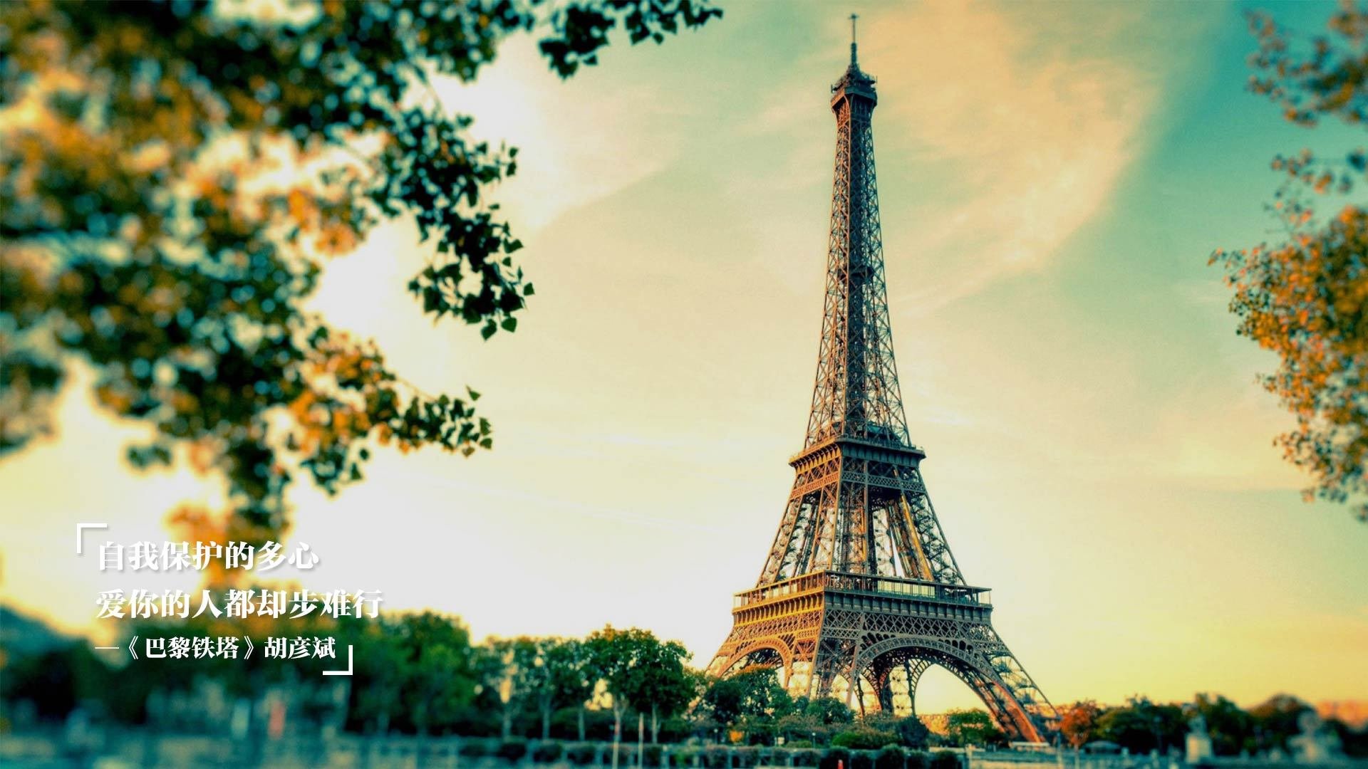 张雨霏个人金牌数达历史新高,张雨霏已获几块金牌