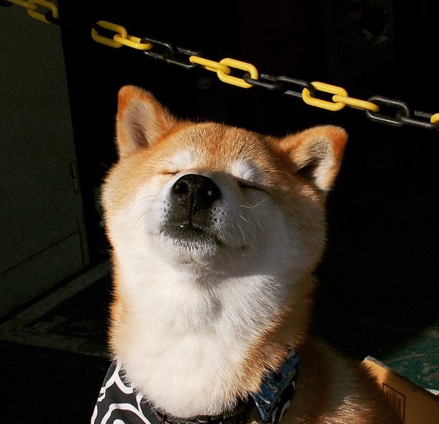 曼城保持控场优势打出全面压制,曼城状态