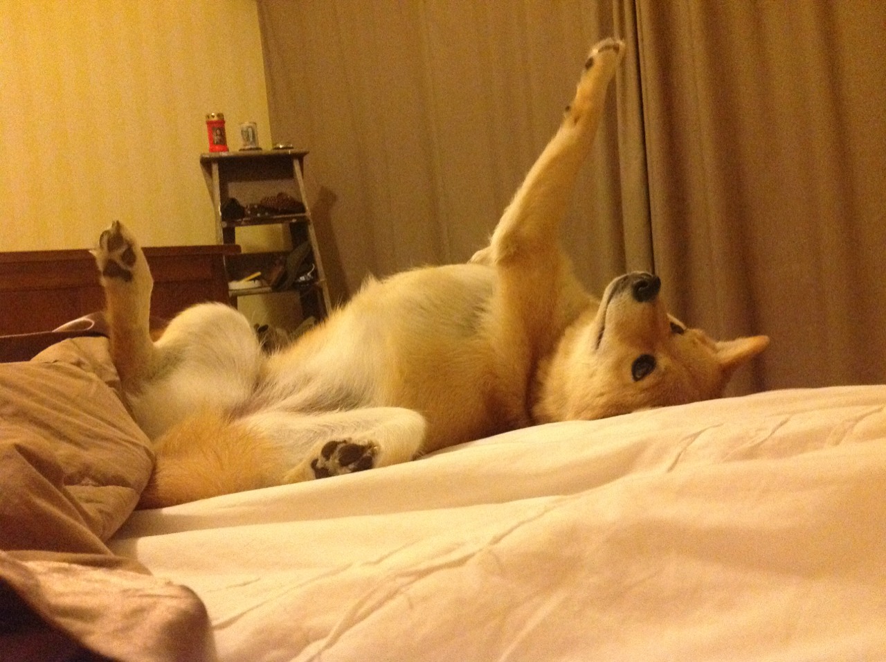 中甲球队设置体能大数据中心监测全队状态趋势,中国足球队体能测试标准