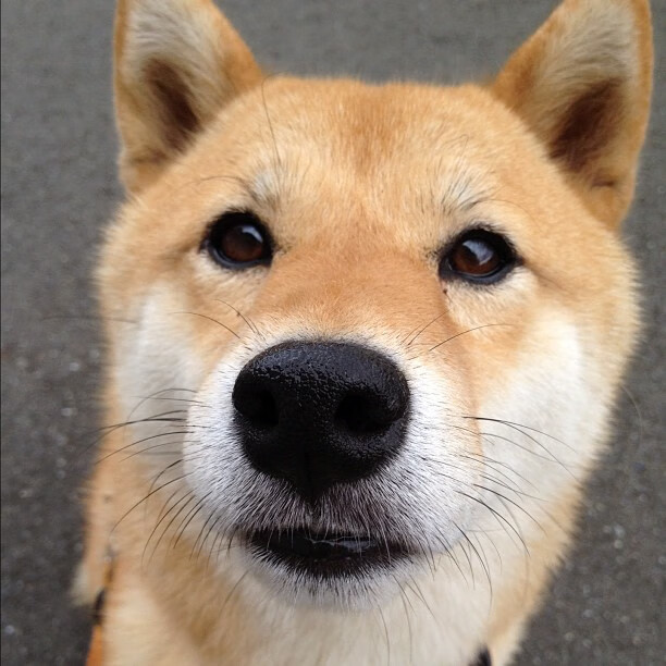 开云中国-利物浦稳扎稳打，欧冠赛场展现强大实力