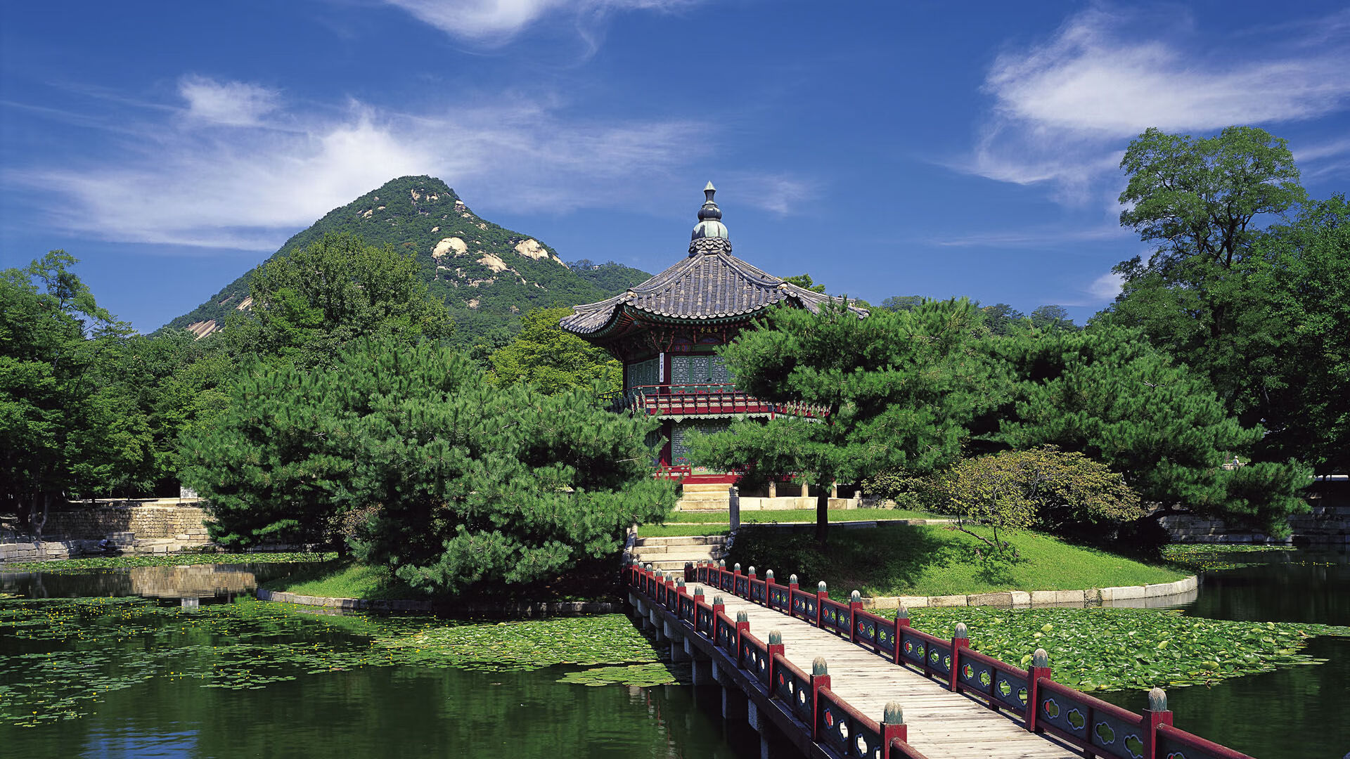 法国橄榄球比赛吸引大批投资，赛事品牌影响力大增，法国 橄榄球