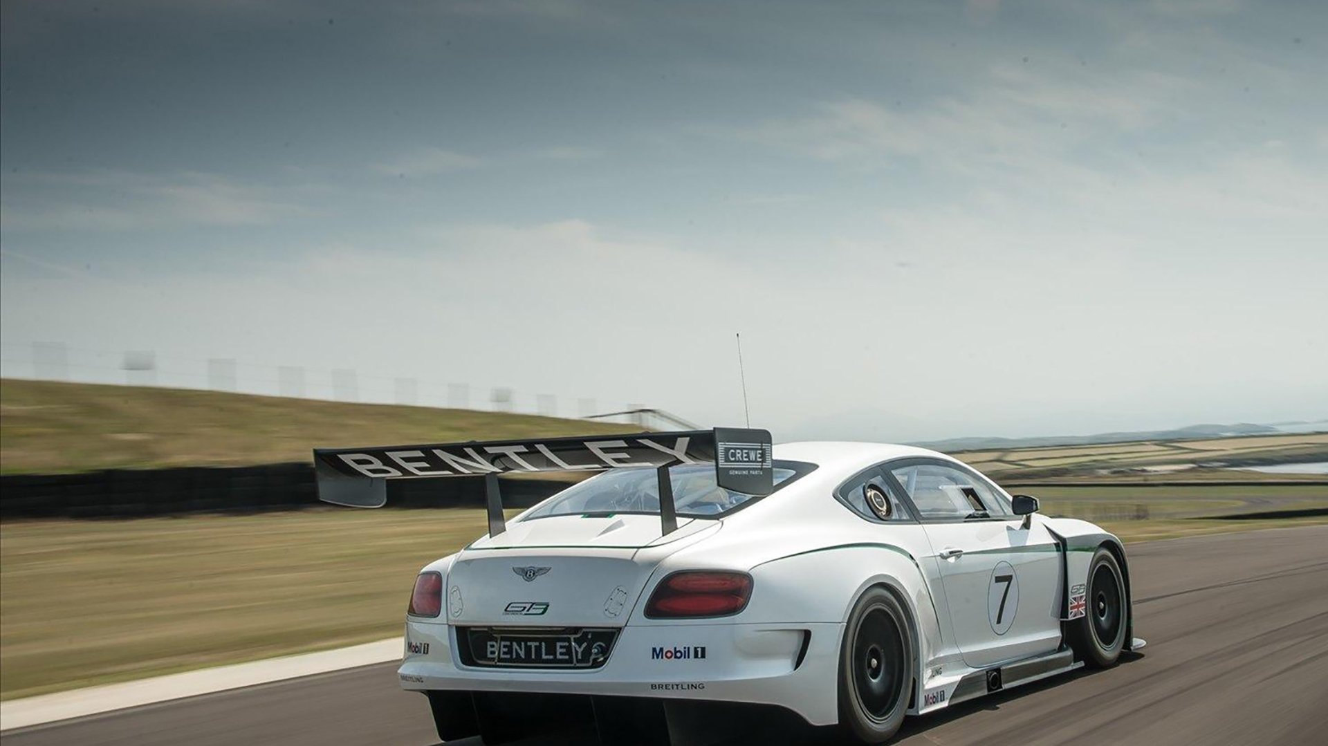 美洲杯激情四溢：逆境中的坚韧不拔，美洲杯视频集锦